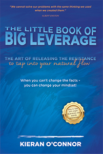 The Little Book of Big Leverage
