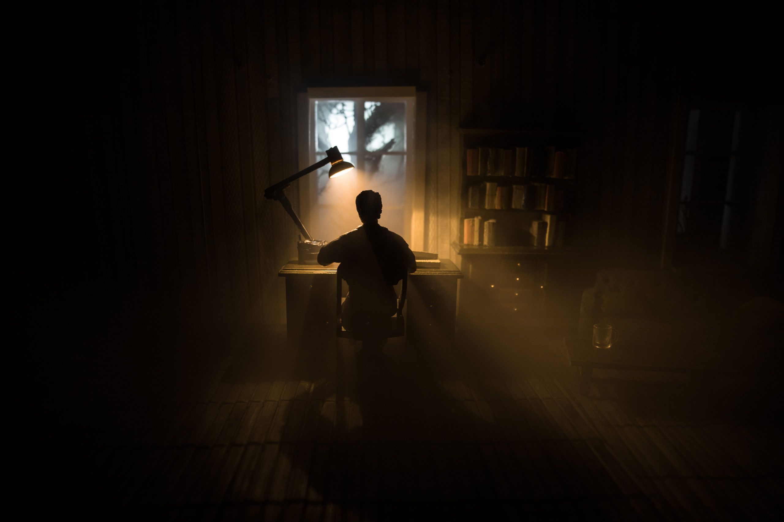 Its a lonely profession being an author!