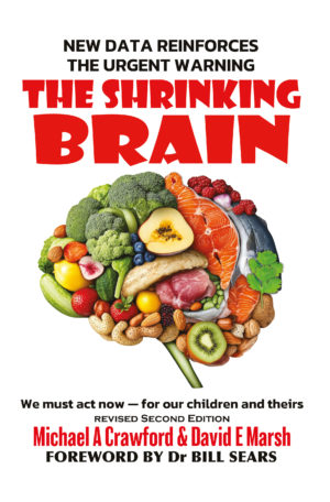 The Shrinking Brain